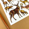 Alexia Claire | Deers of Britain | Postcard | Conscious Craft